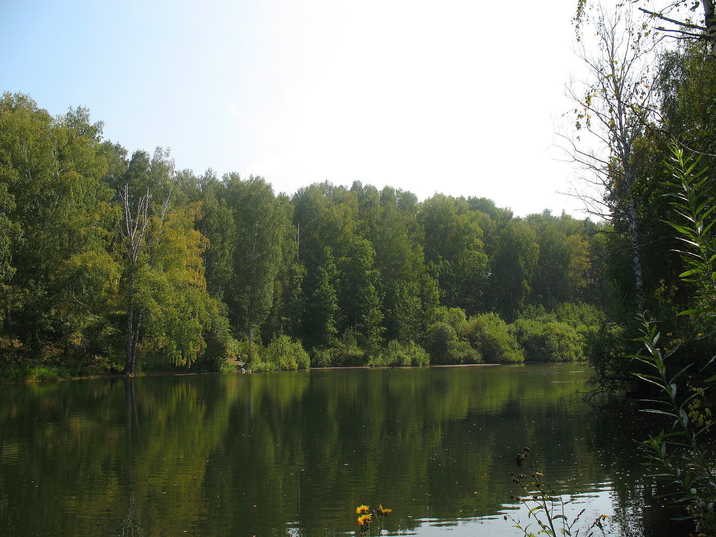 Лесной пруд