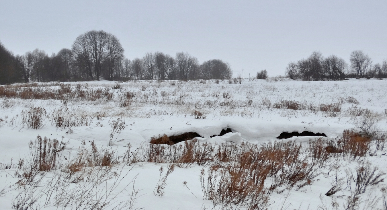 Февраль морозит