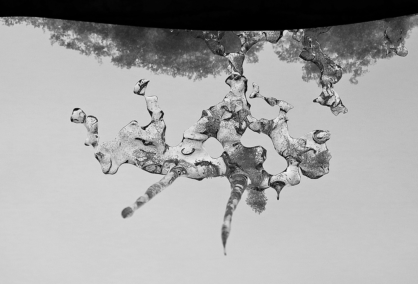 Ледяной единорог-горбунок