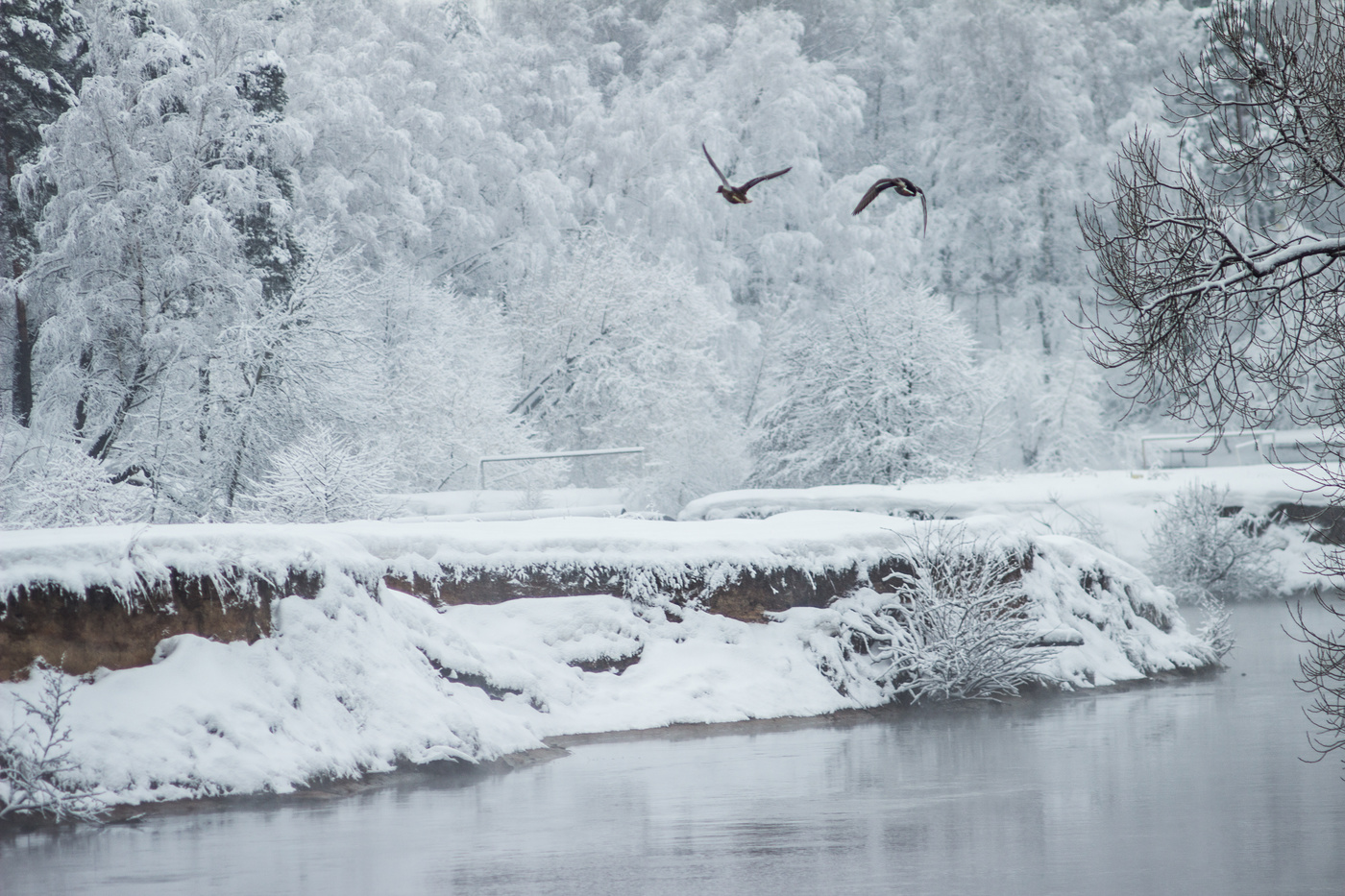 в снежном царстве