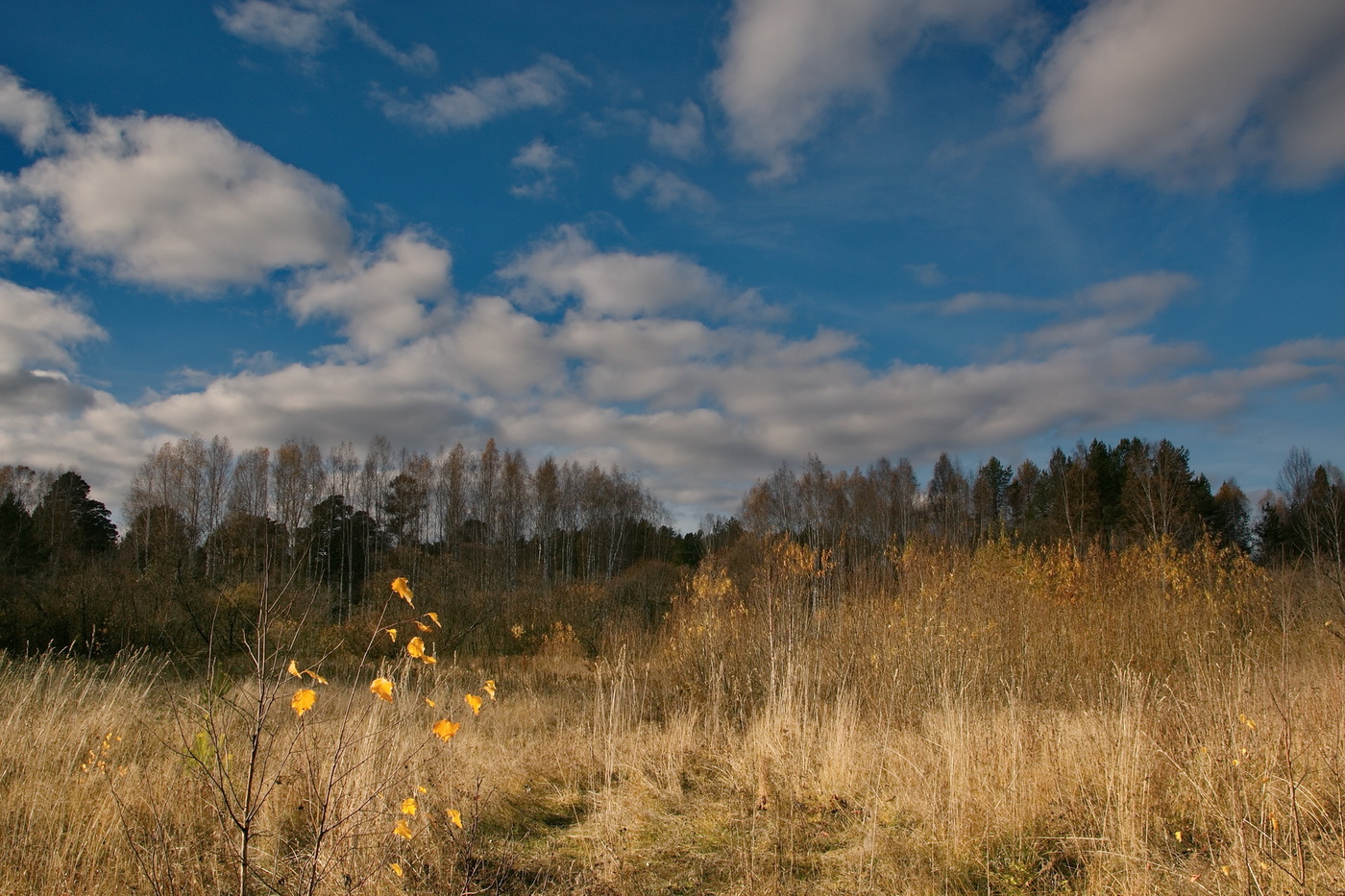 Осенний день.