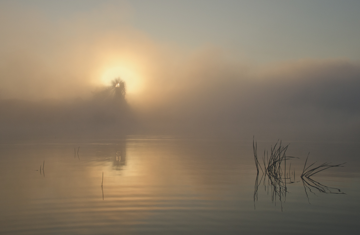 Рассветная феерия