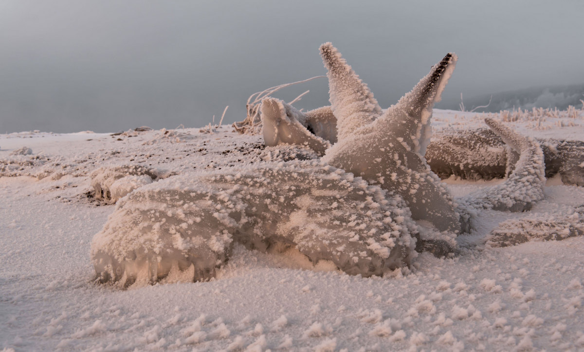 Морозным вечером...