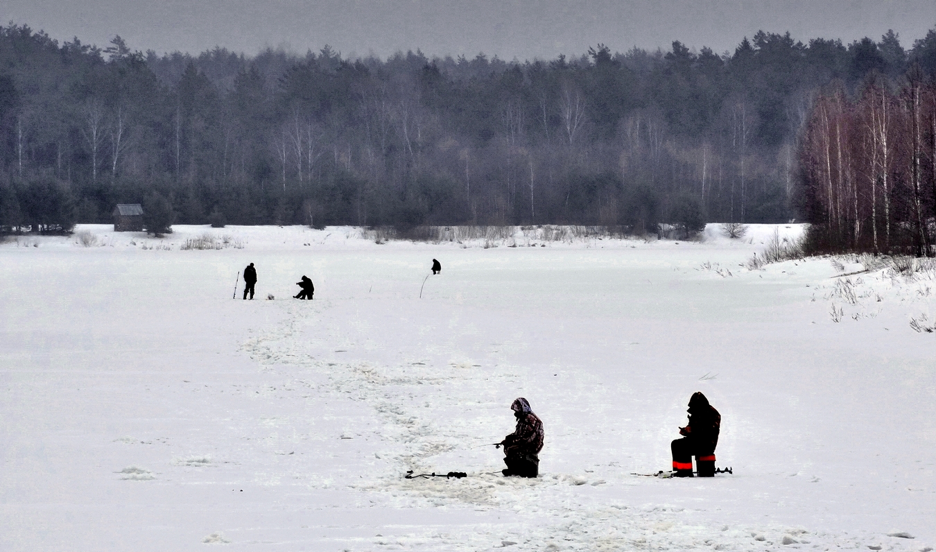 Февральская стужа