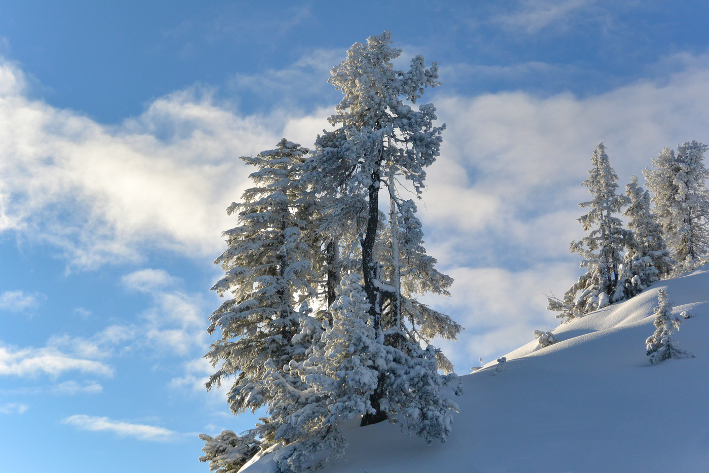 Февральская стужа