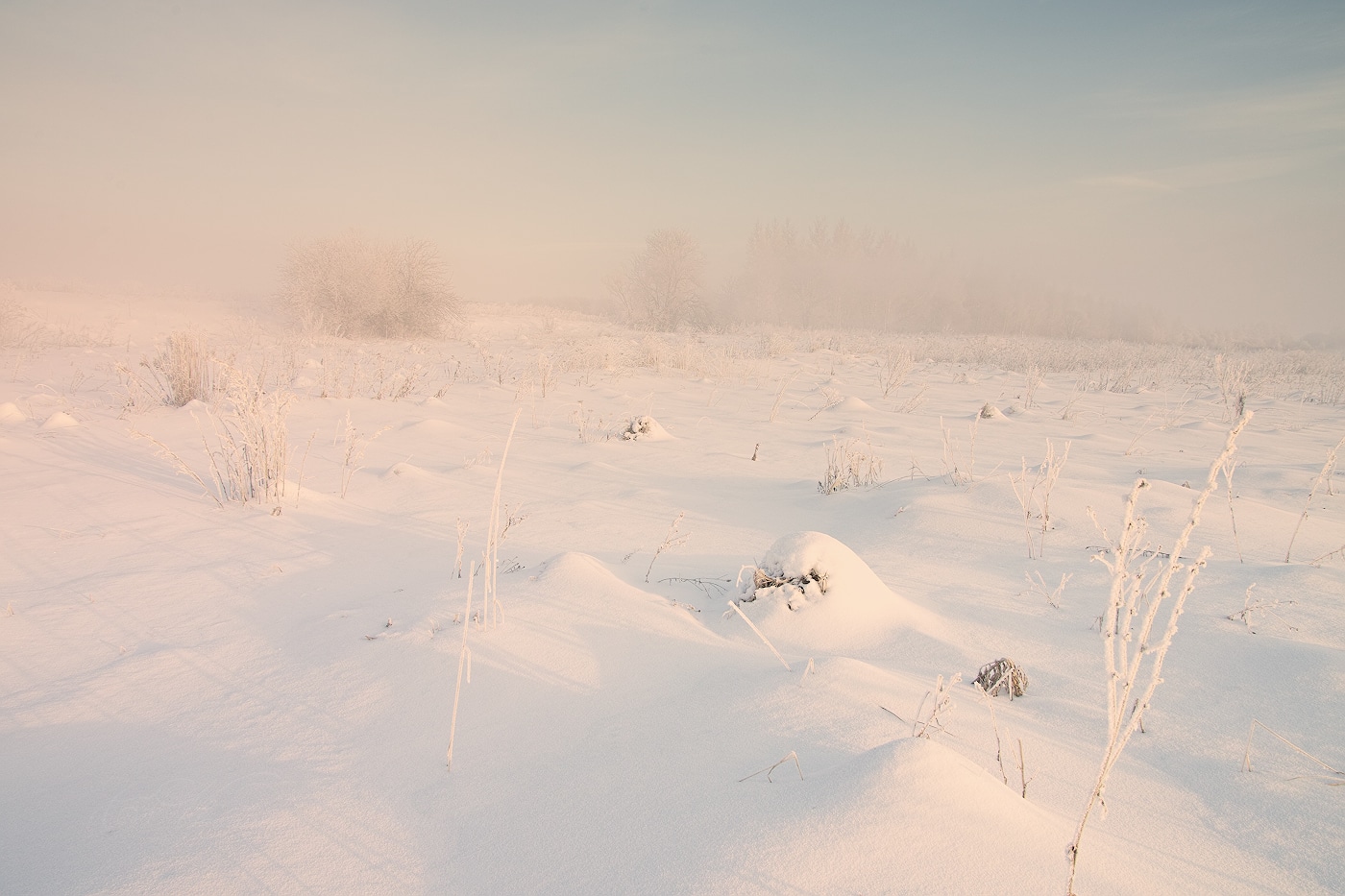 Февральская стужа