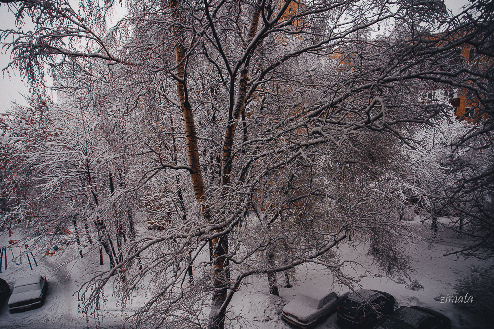 Февральская стужа