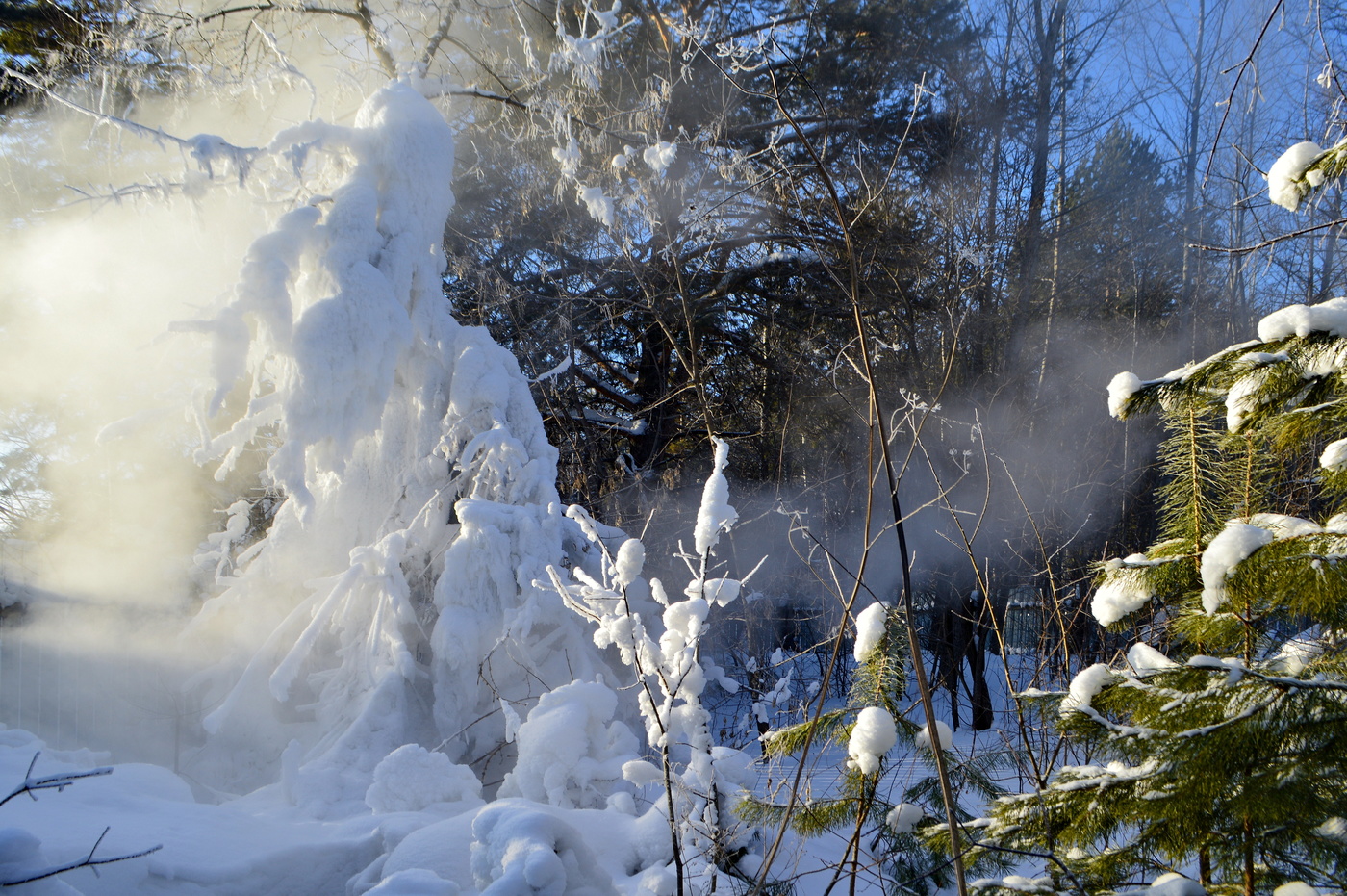 Февральская стужа