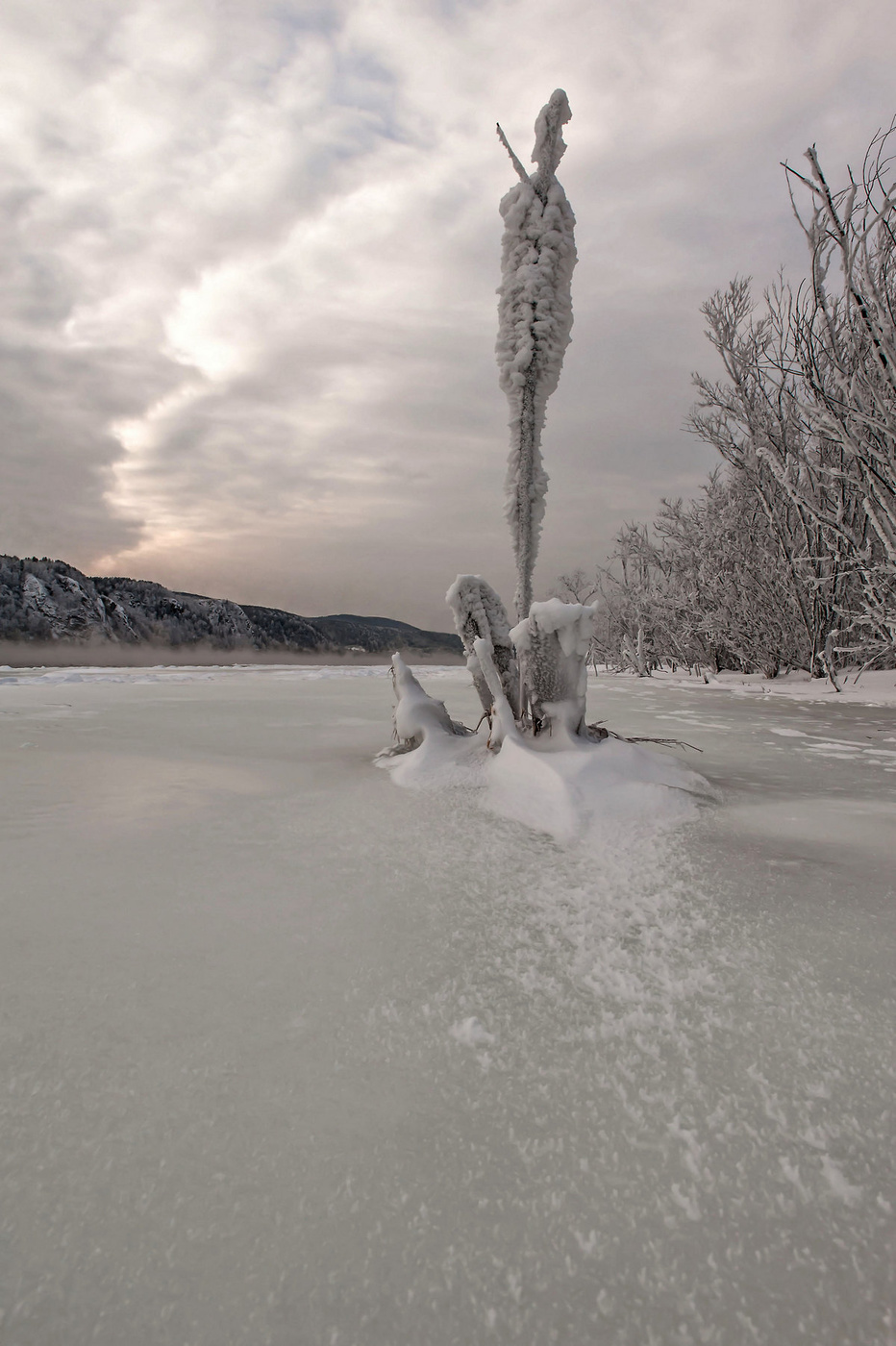 О природе...