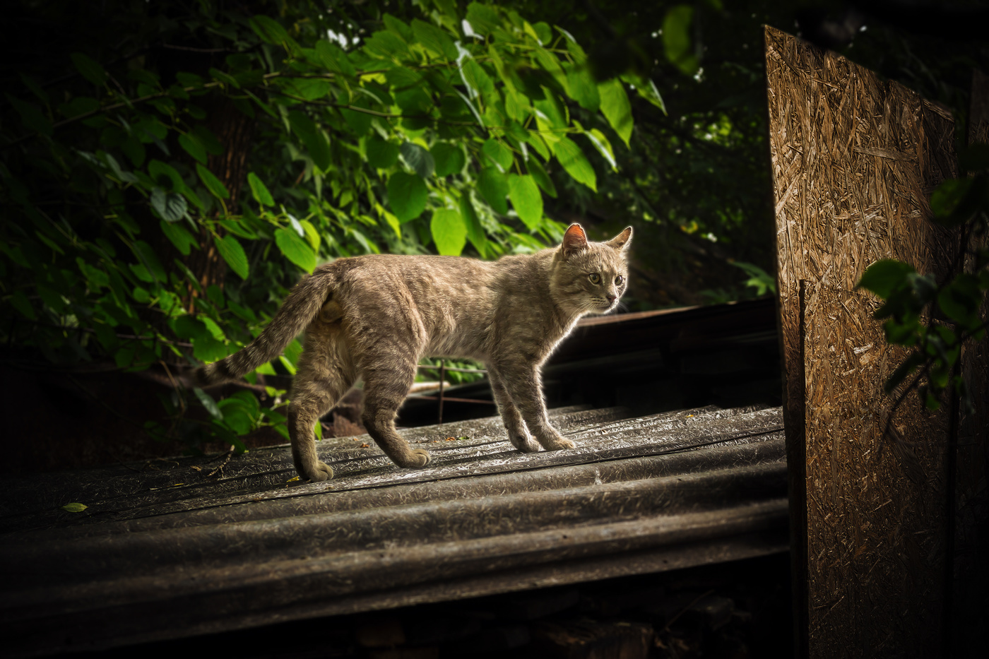 И оглянулся посмотреть.