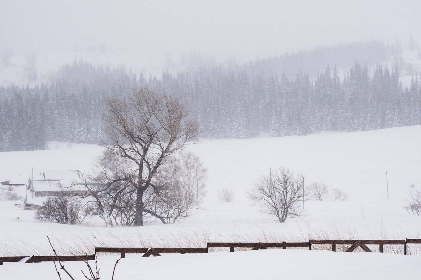 Февральская стужа