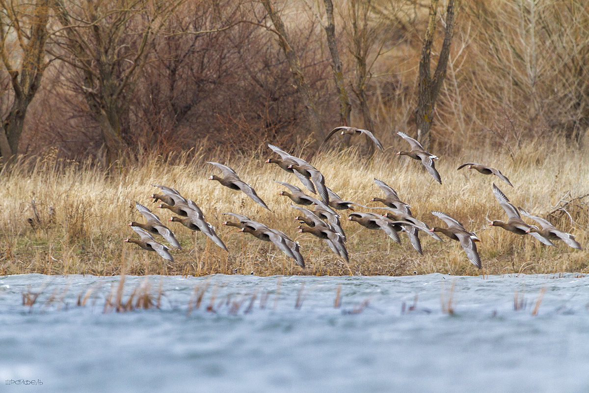 На передышку