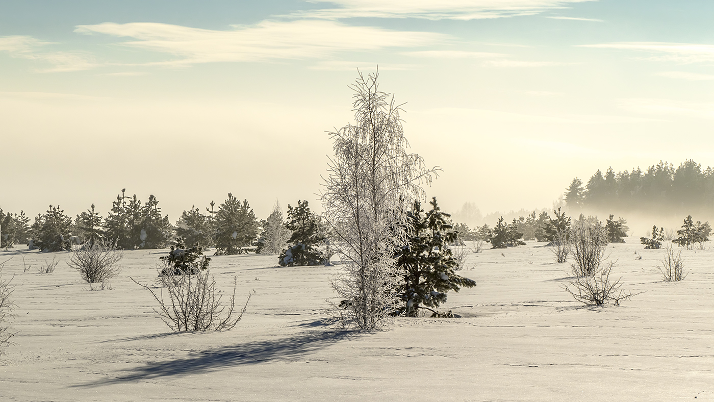 Февральская стужа