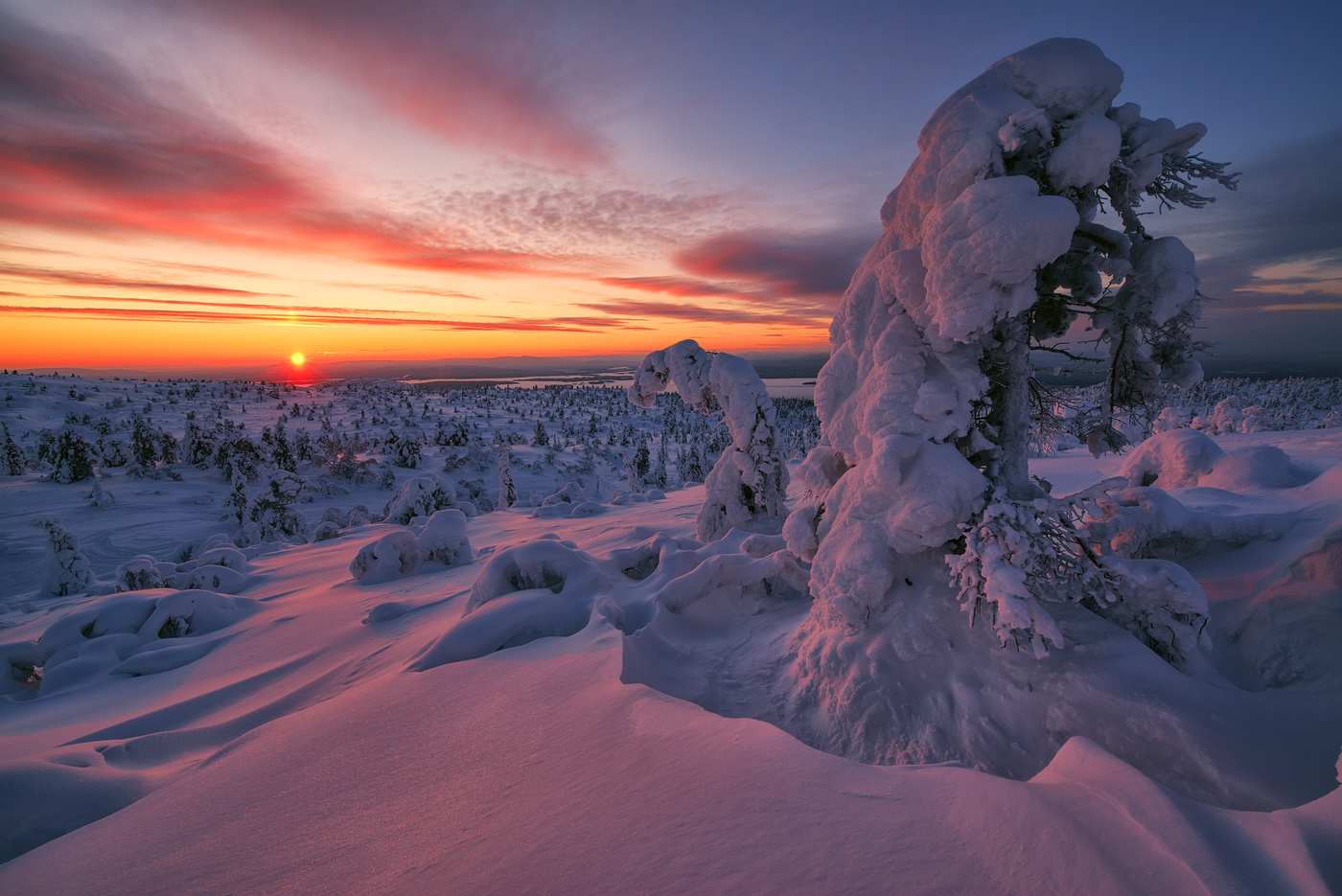 Февральская стужа