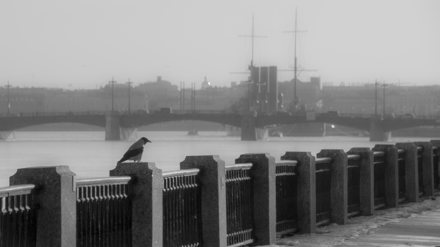 На Невы притоке