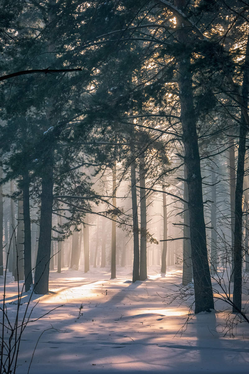 февральская стужа