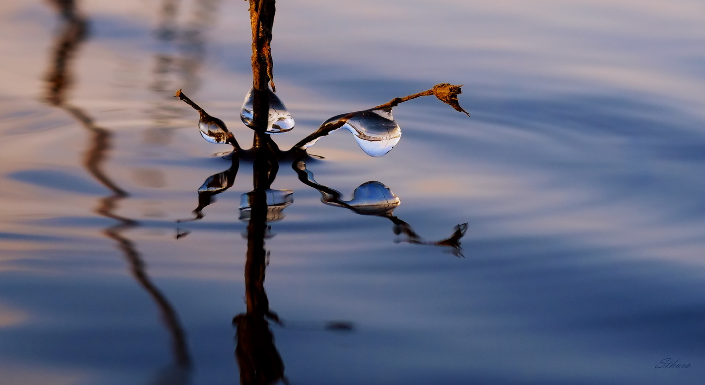 Весенние причуды.