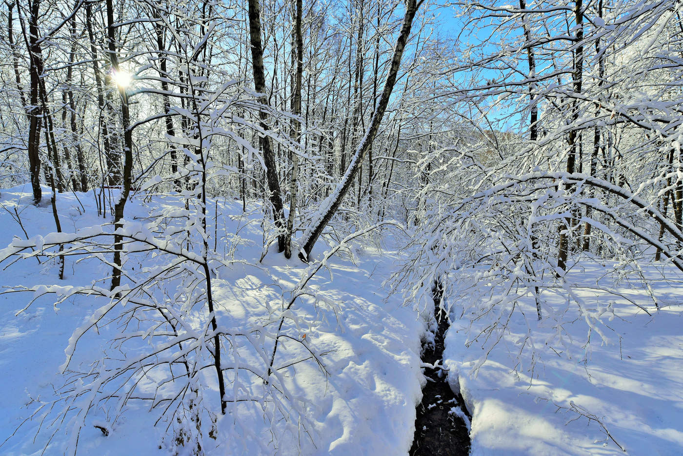 "Зима-волшебница гуляет, красою радует своей..."