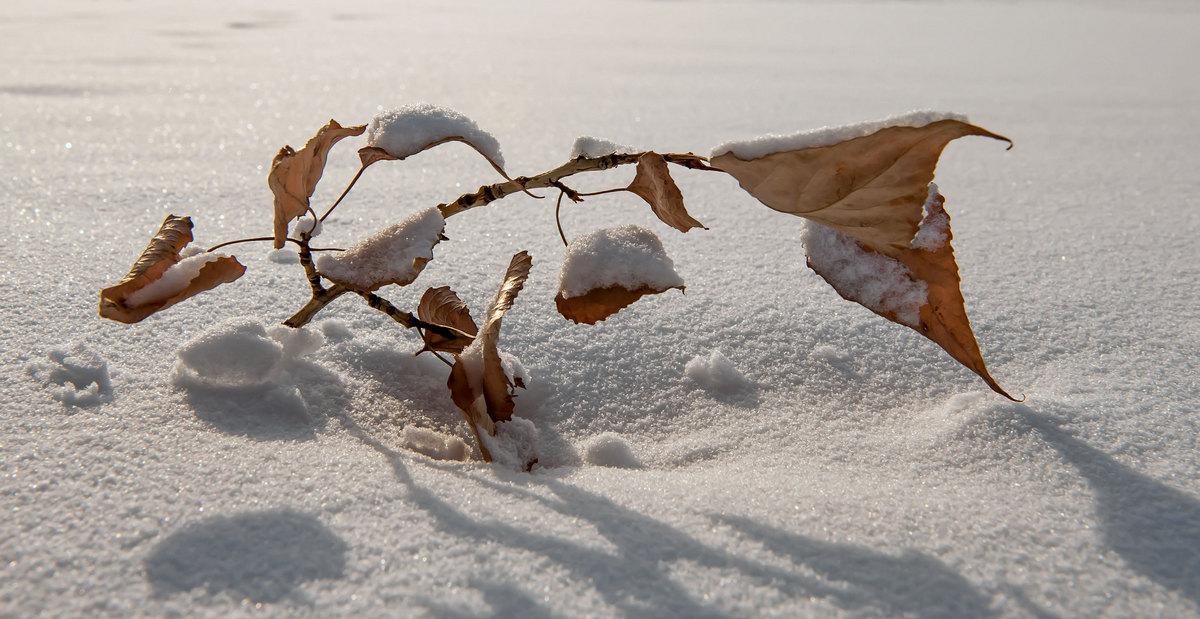 Зимняя осень...