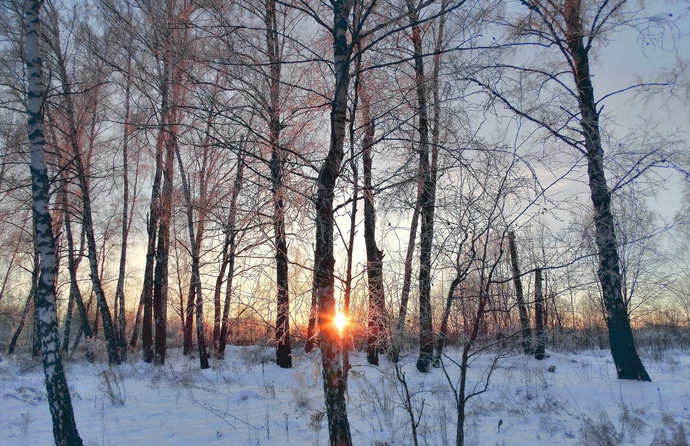Золотая пыль лучей заката