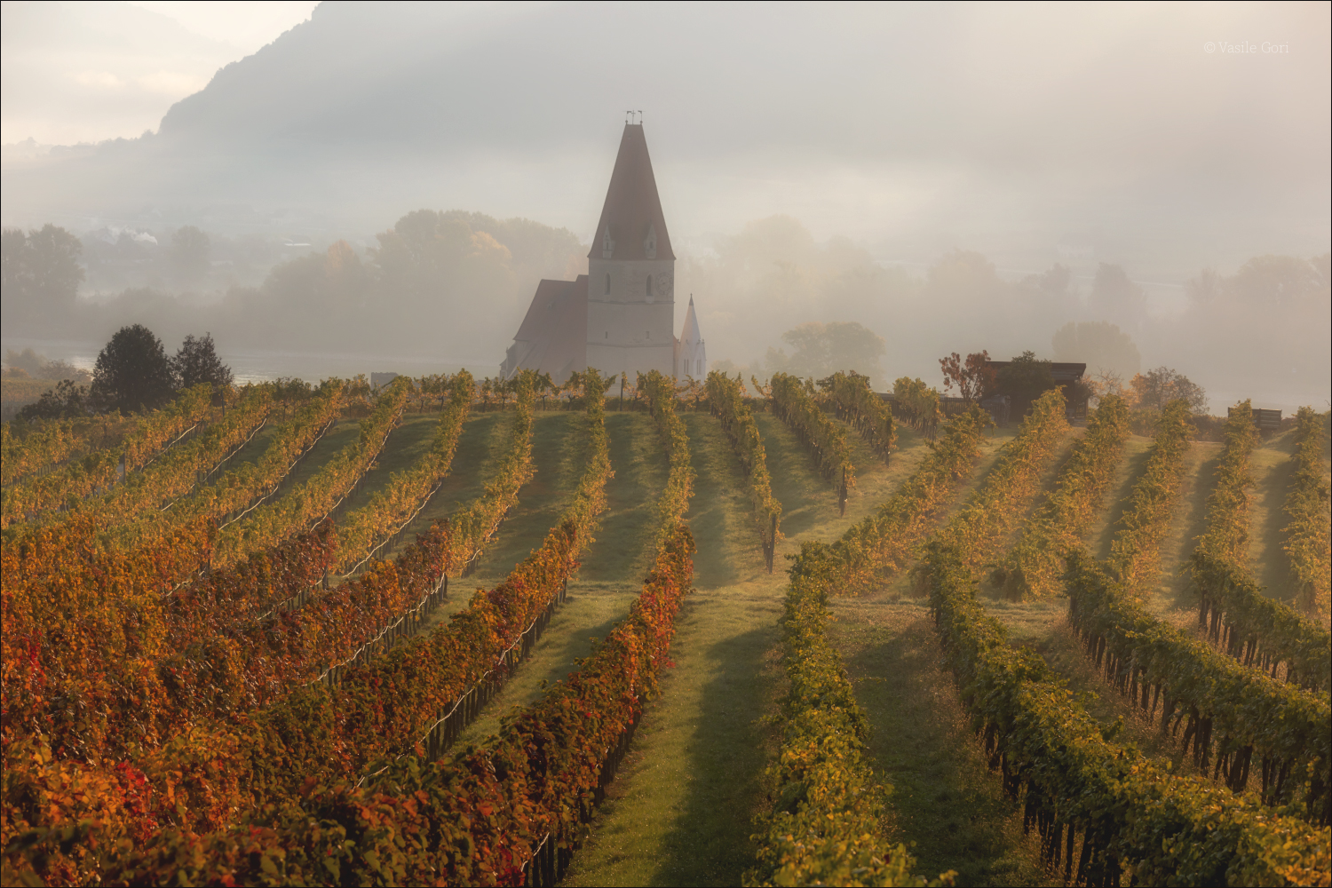 Белая церковь