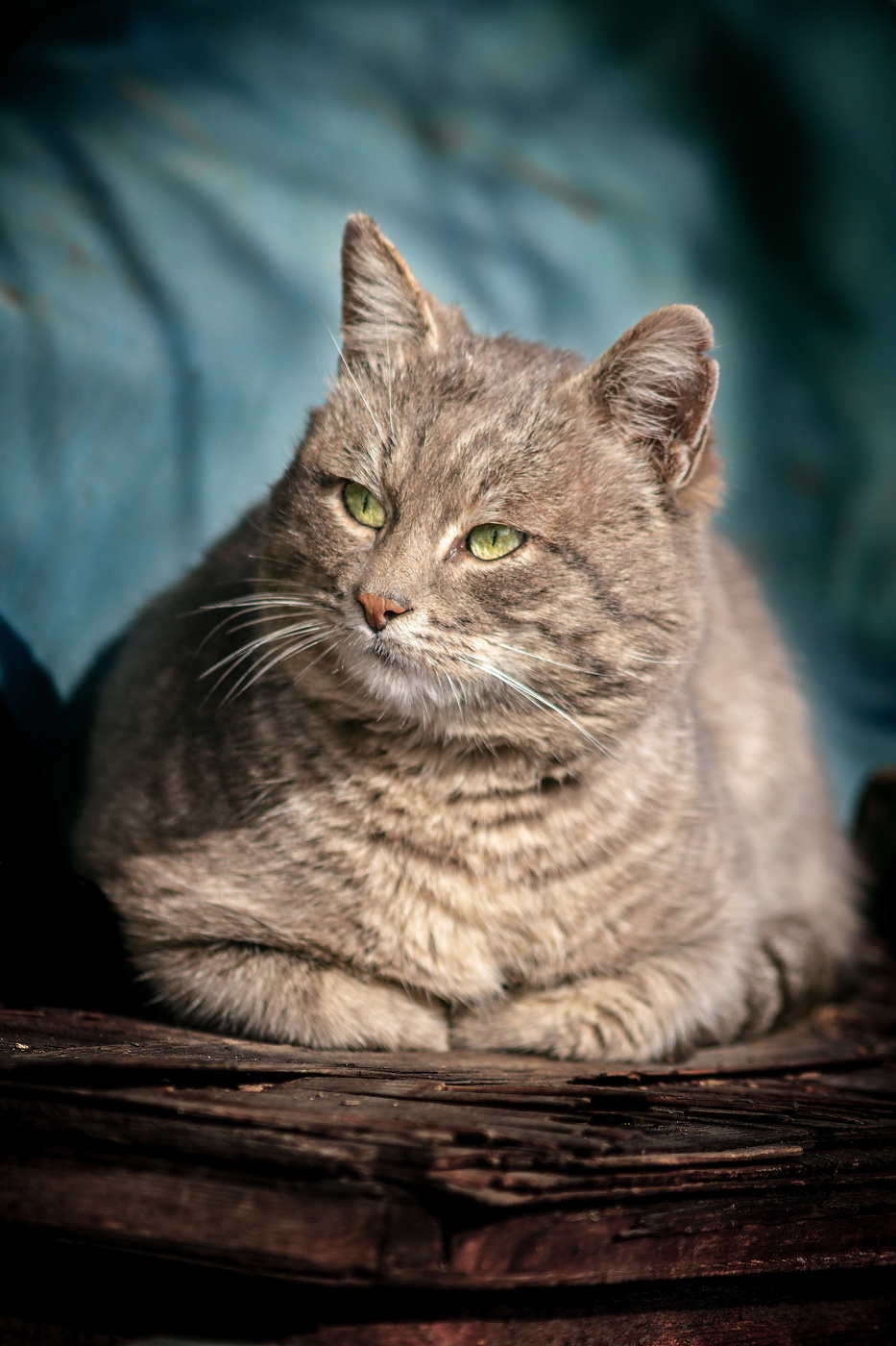 В раздумье.