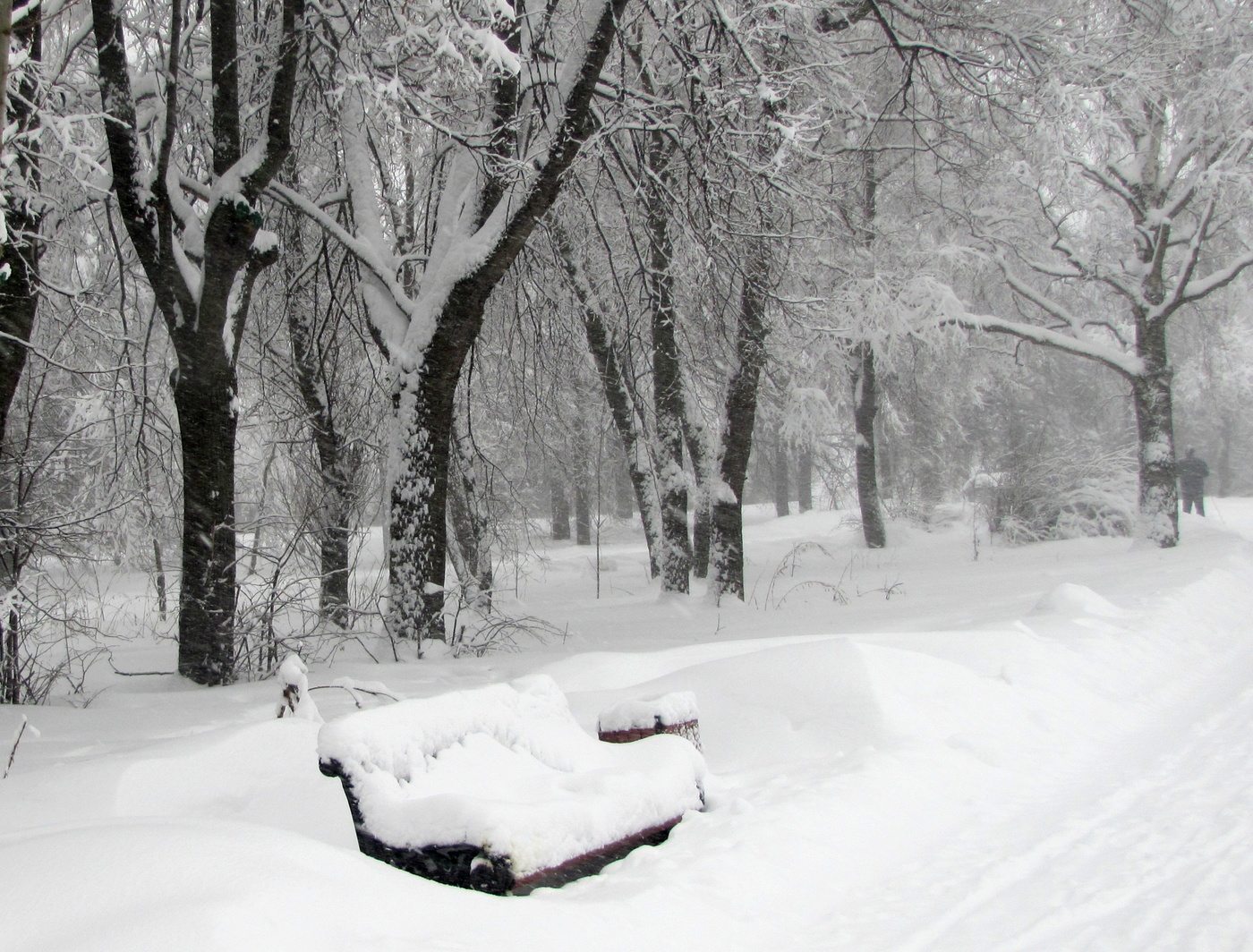 Зимний этюд