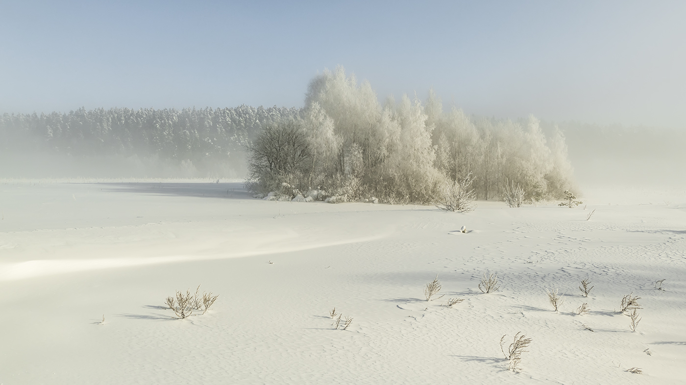 Снежно-белый февраль