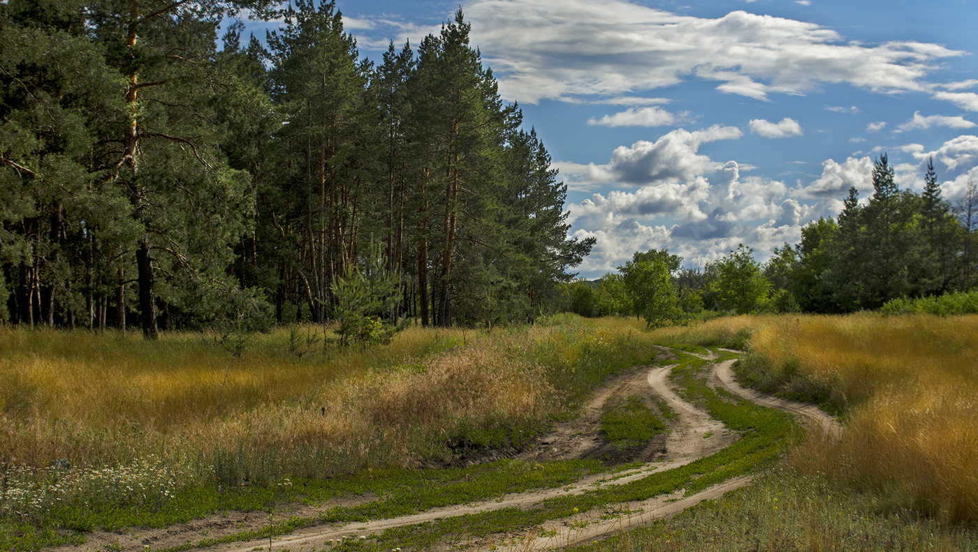 Летний день