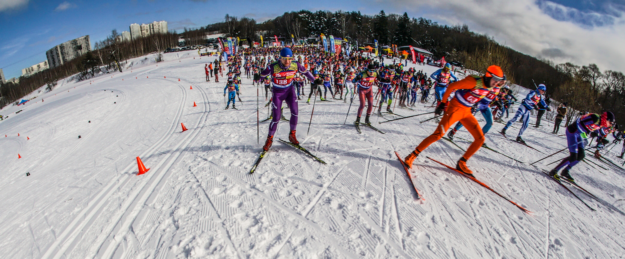Все на лыжню!