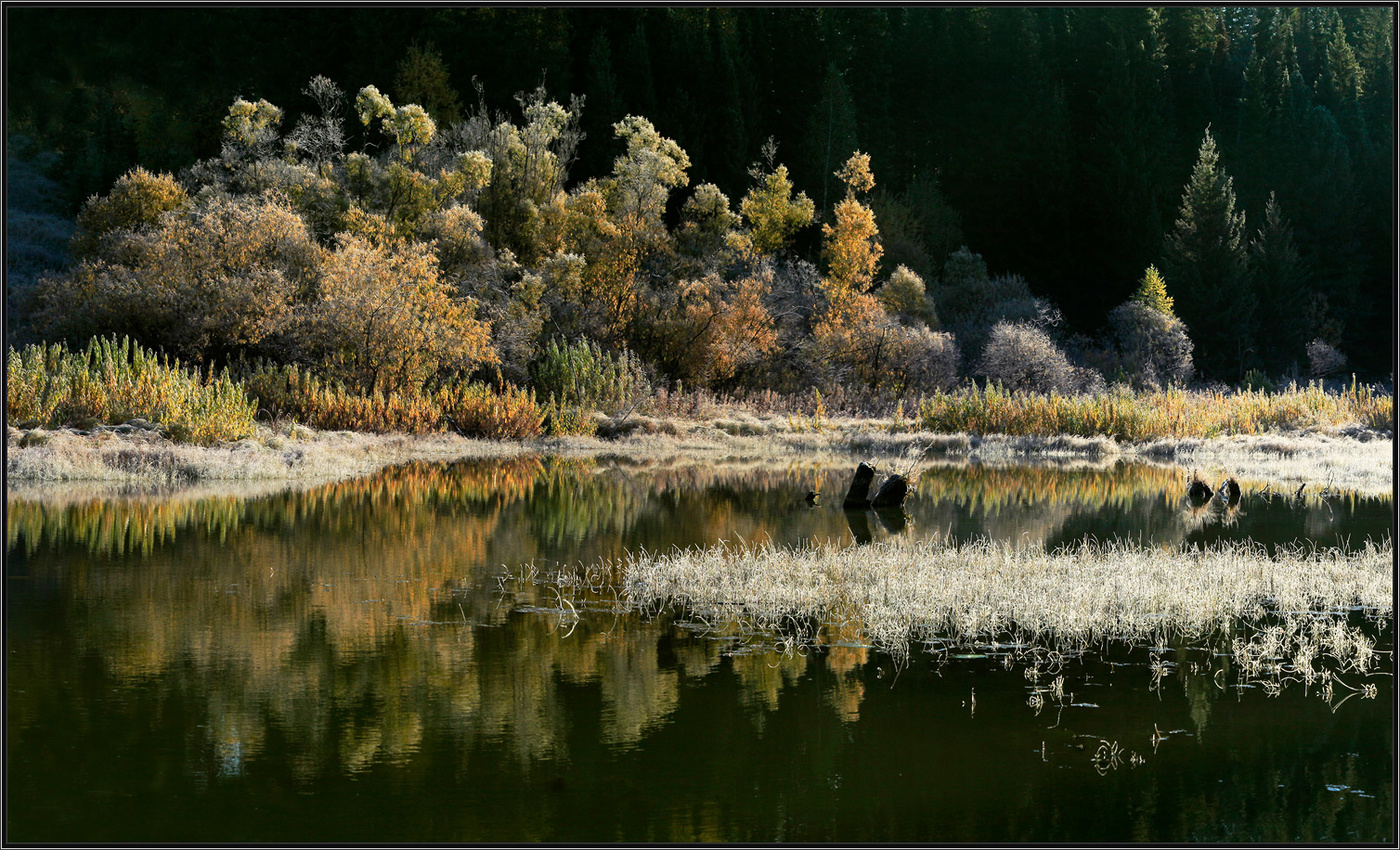 В октябре...