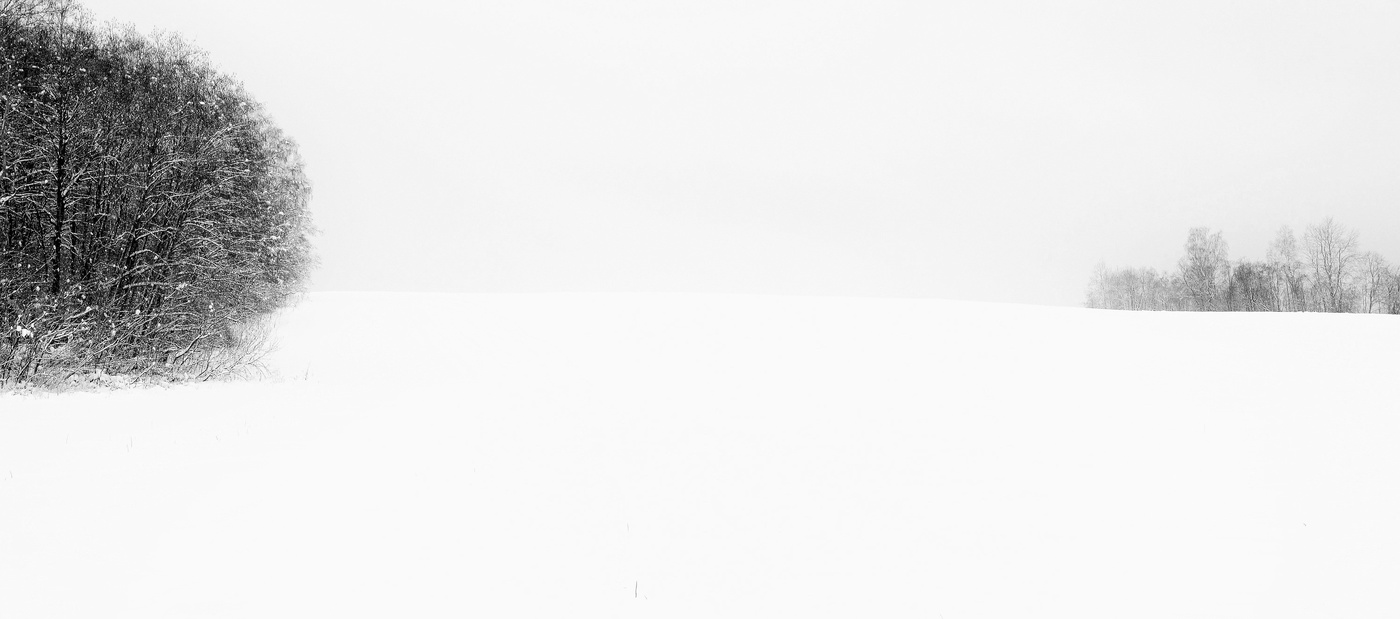 "Опять белесая зима бредет в полях безмолвнее души..."