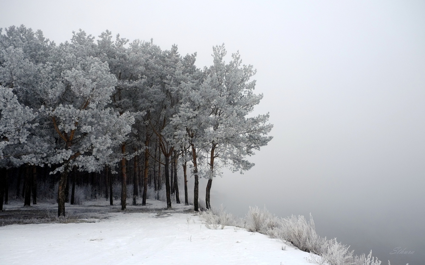 На крутом берегу.