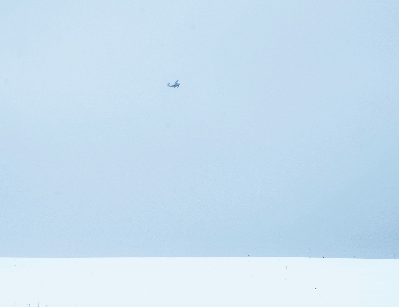 "Бледно-синий простор во все стороны взгляда ..."