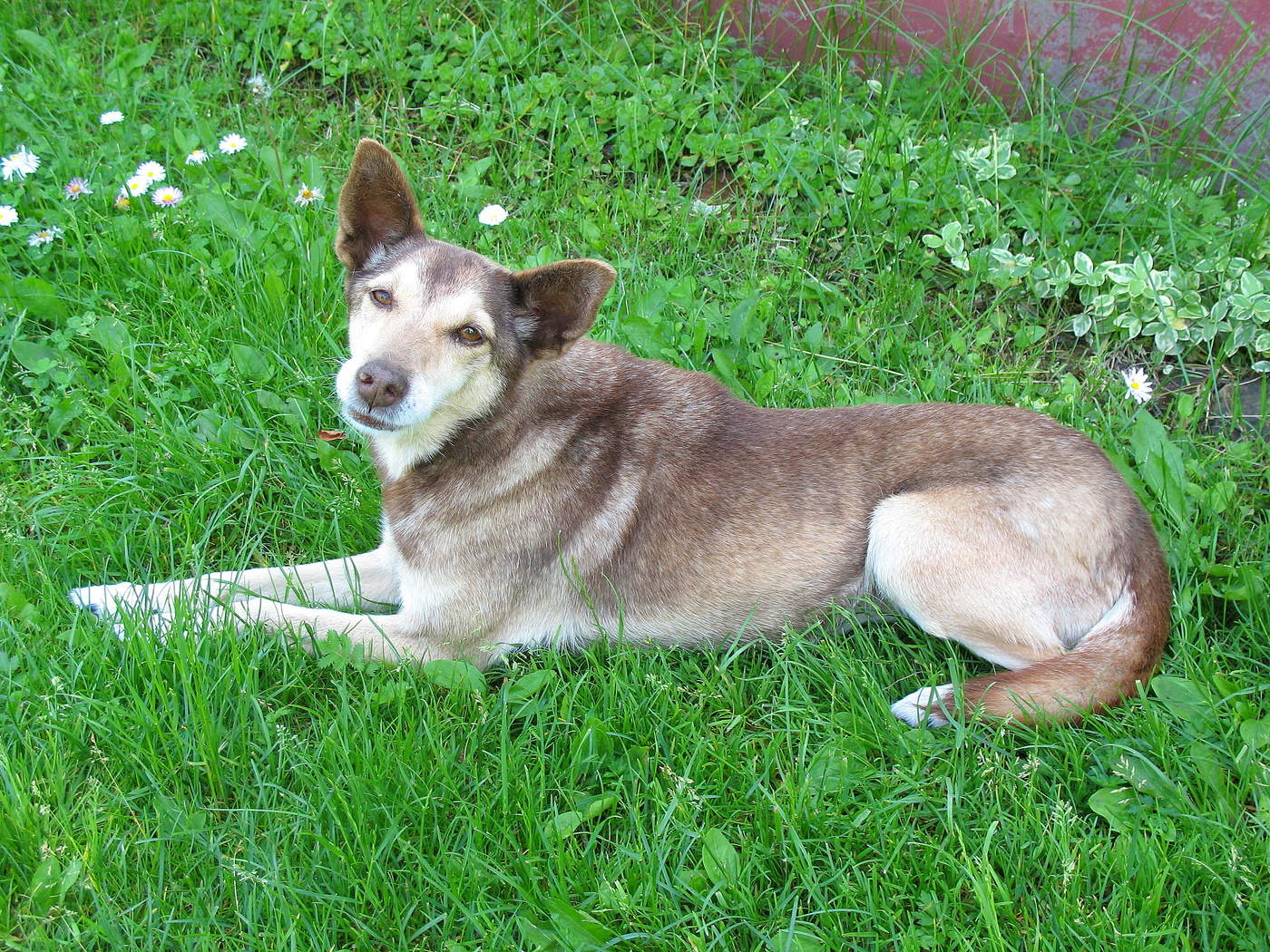 Не мешайте отдыхать!