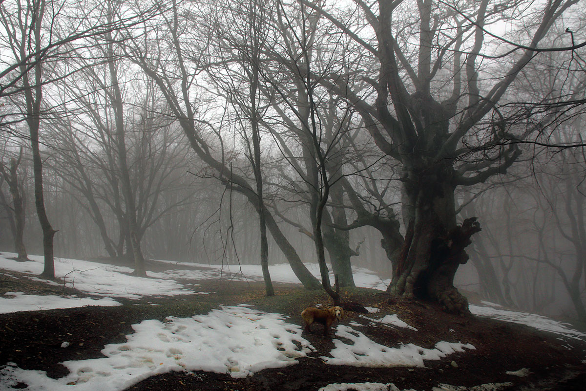 Крымские туманности*