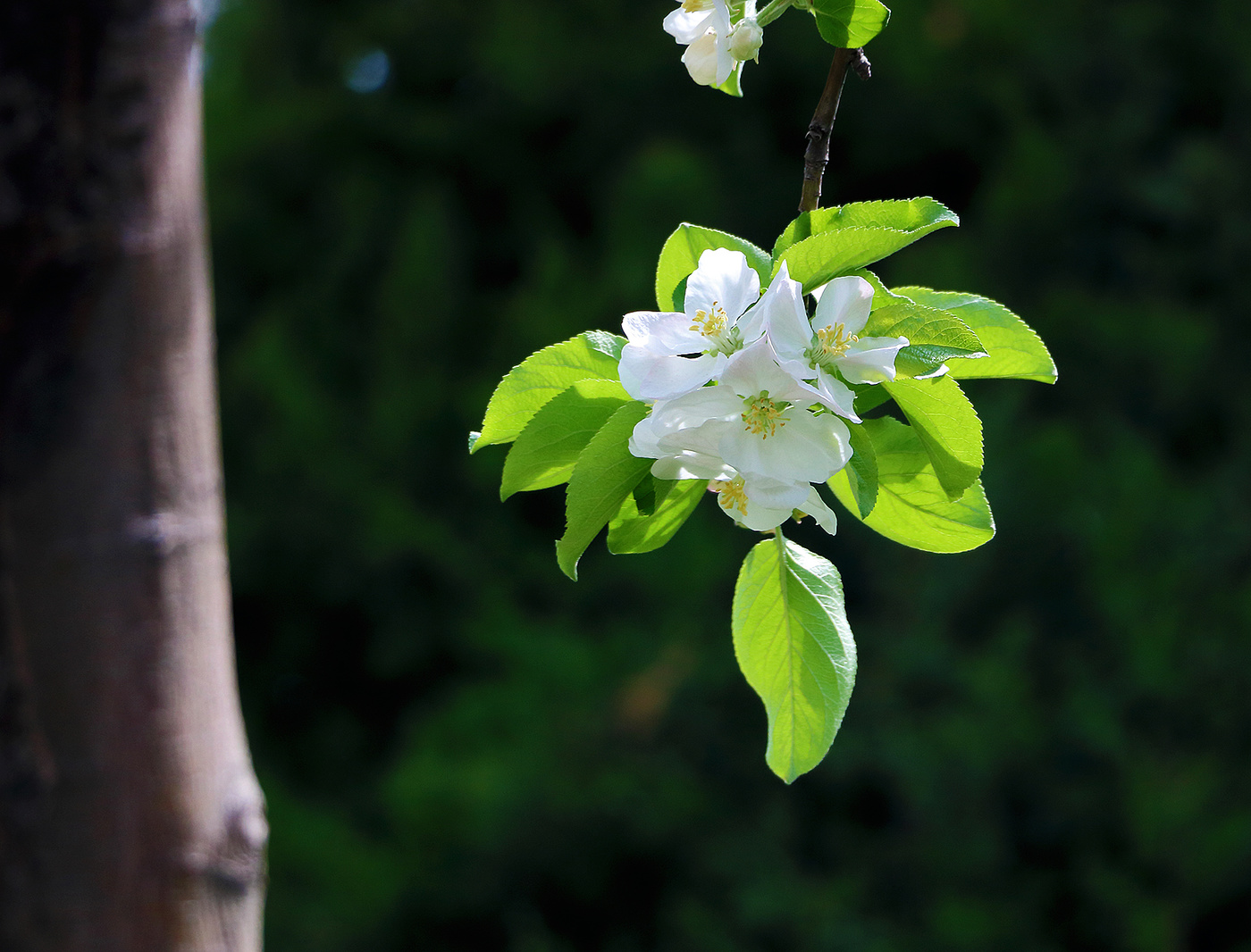 Скоро весна...