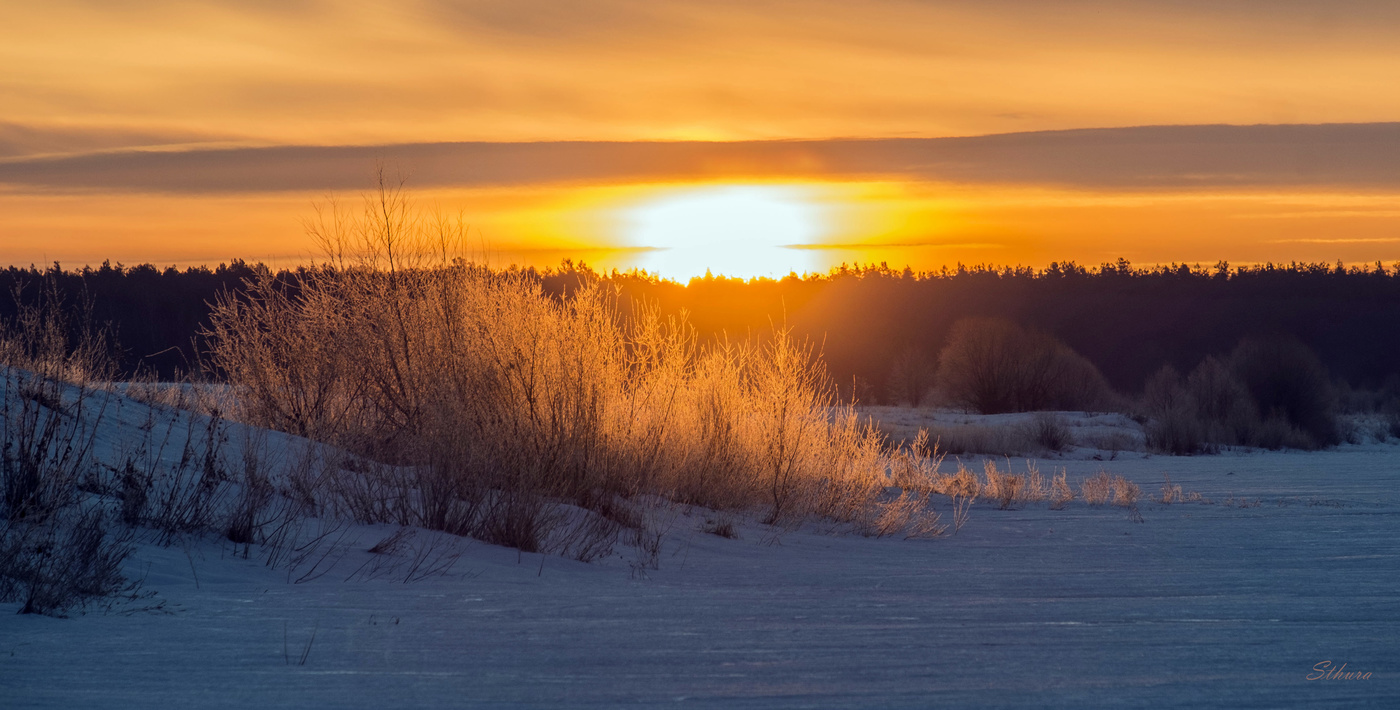 В утренних лучах.