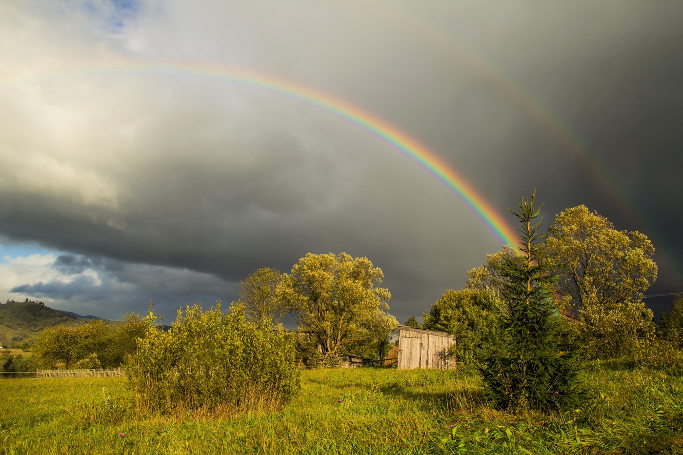 Раздвоение не личности