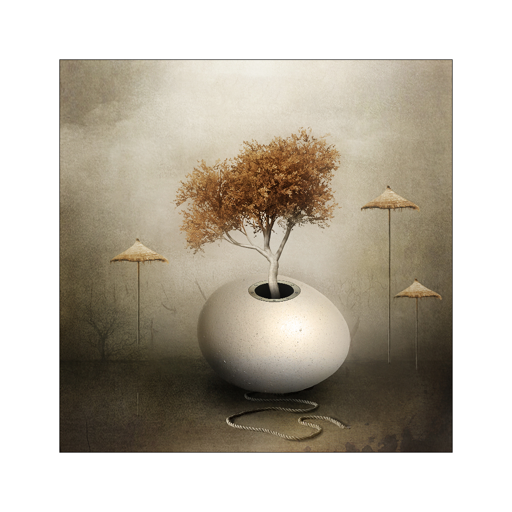 бонсай на фоне скрытой туманом Фудзиямы