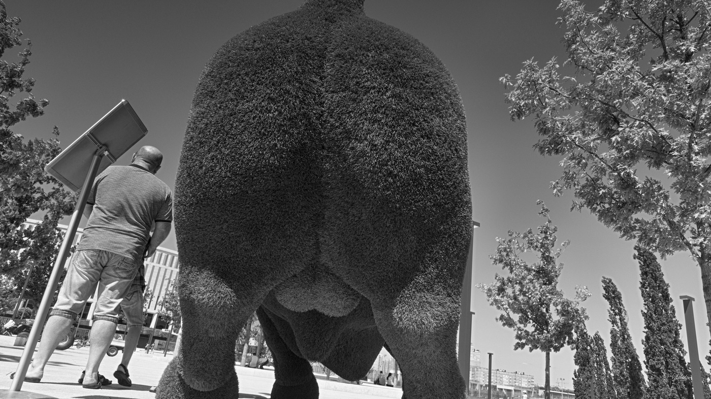 Раздвоение не личности