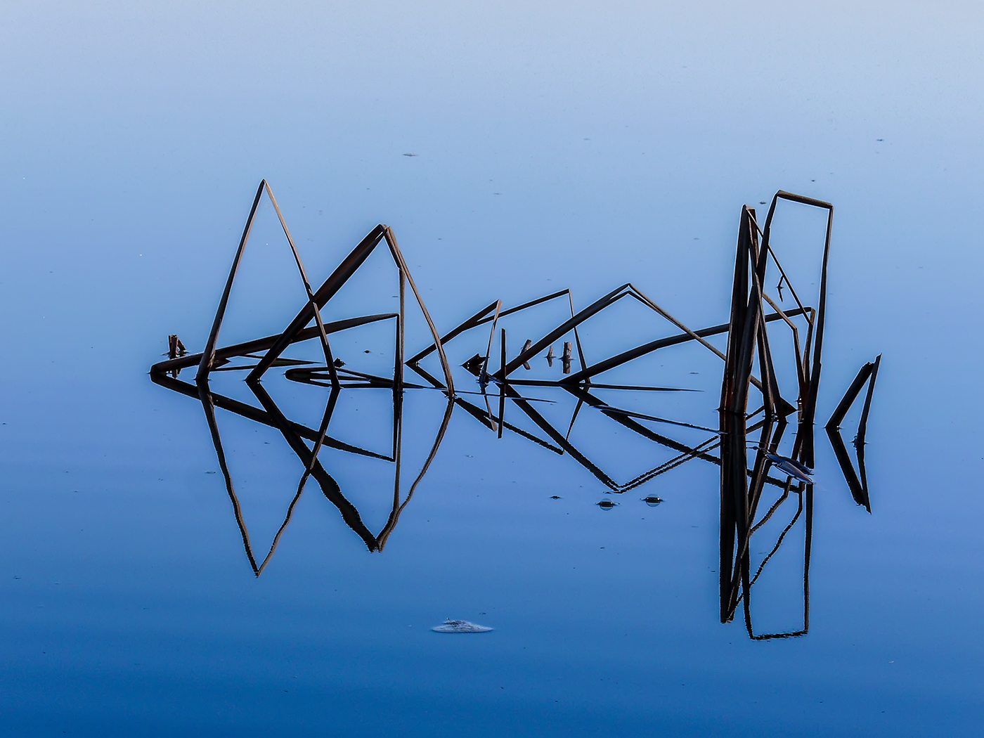 Раздвоение не личности