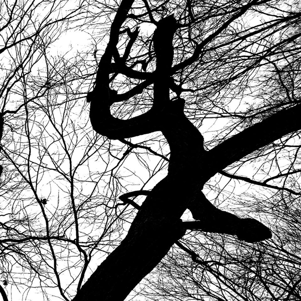 Раздвоение не личности