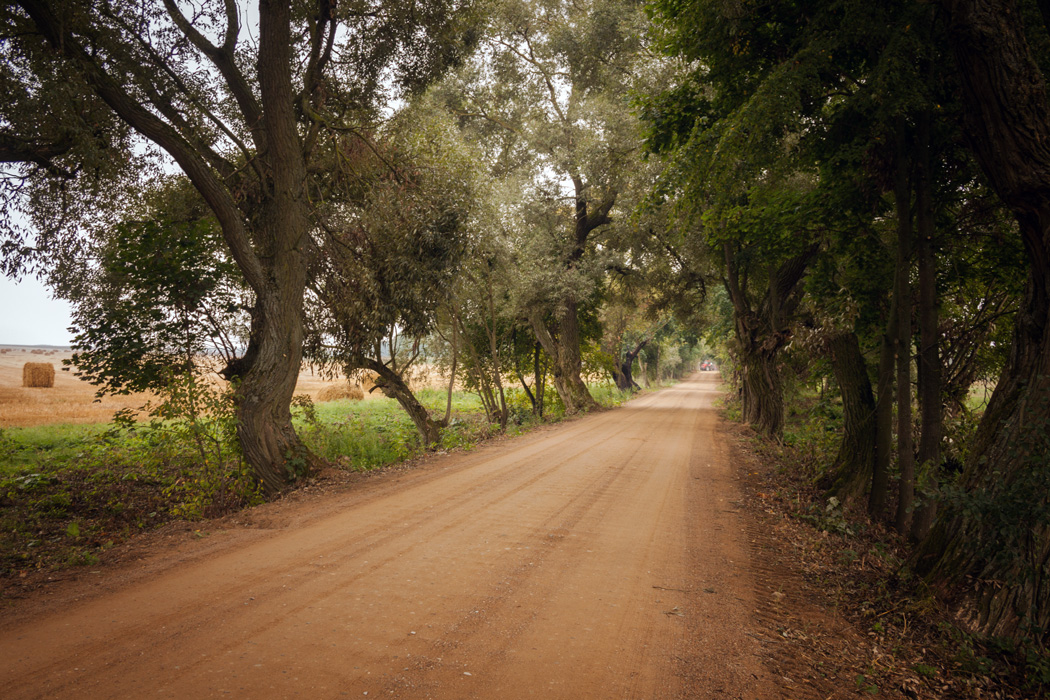 По старой аллее