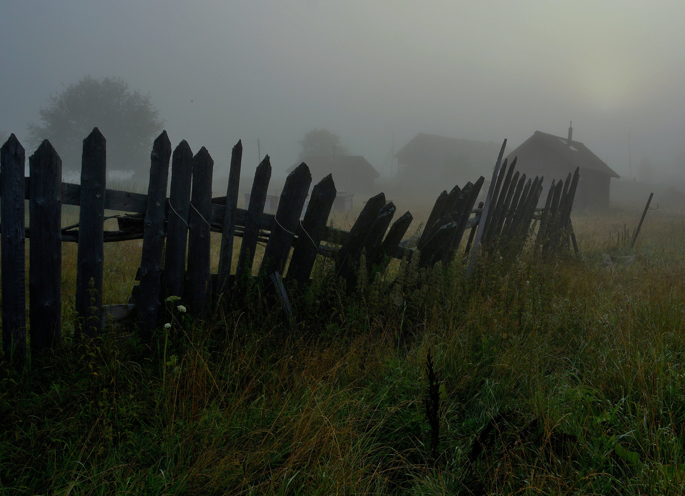 Утро в деревне ...