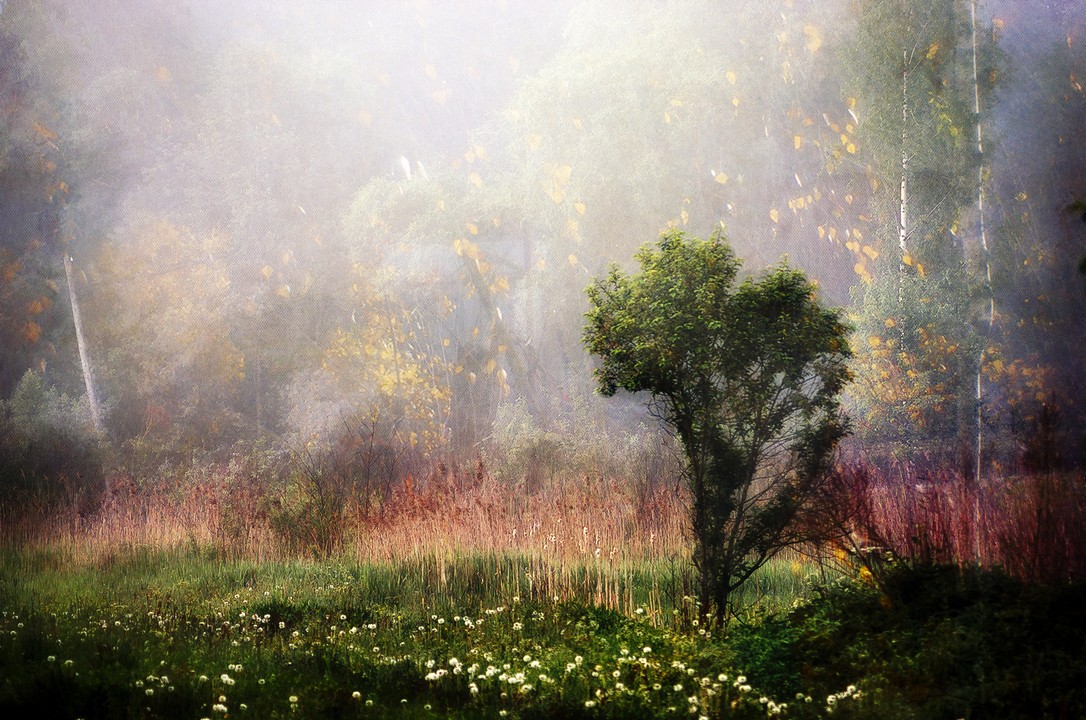 Во сне и наяву.