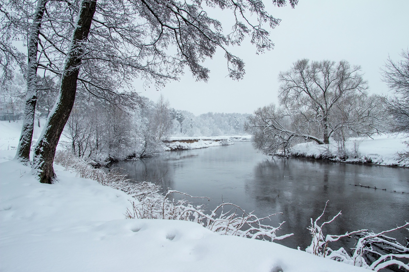хмурый февраль