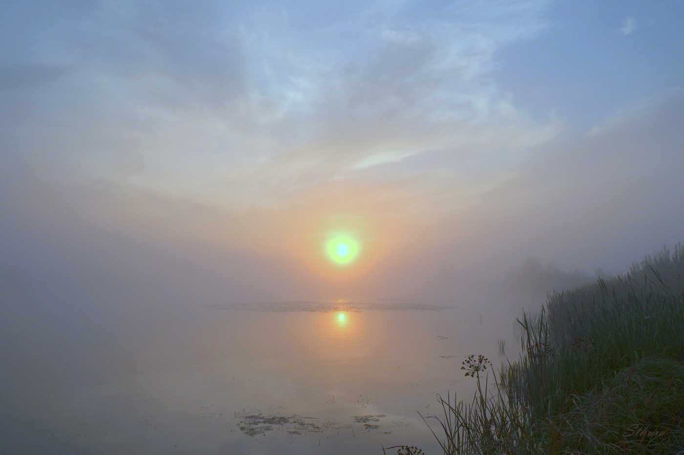 Солнце в тумане.