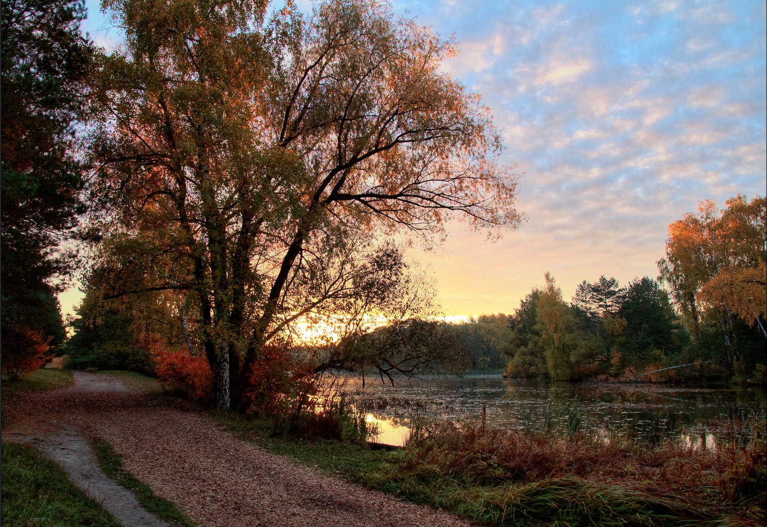 мимо проходил