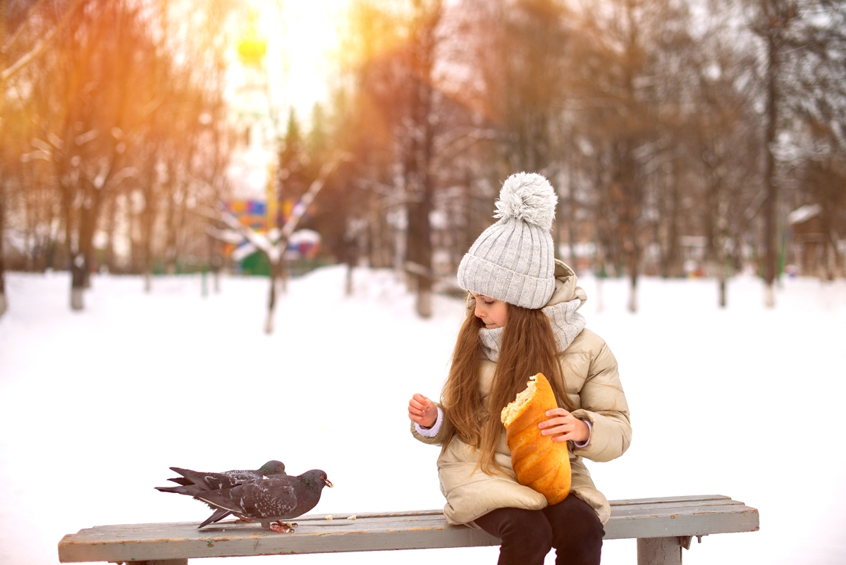 Лиза и голуби